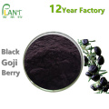 Organic Black goji berry extract powder